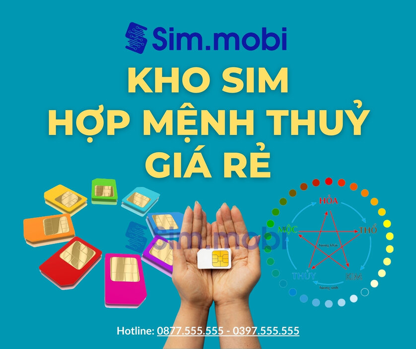 Sim Hợp Mệnh Thủy 1 Kho Sim Hợp Mệnh Thuỷ - VuaSim.vn