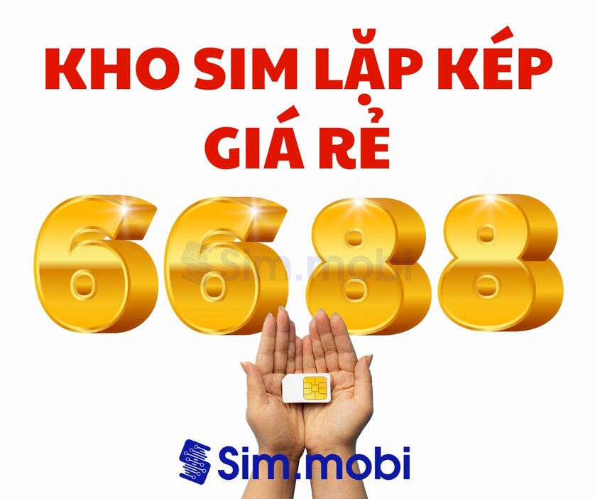 Sim Lặp Kép 1 Kho Sim Lặp Kép - VuaSim.vn