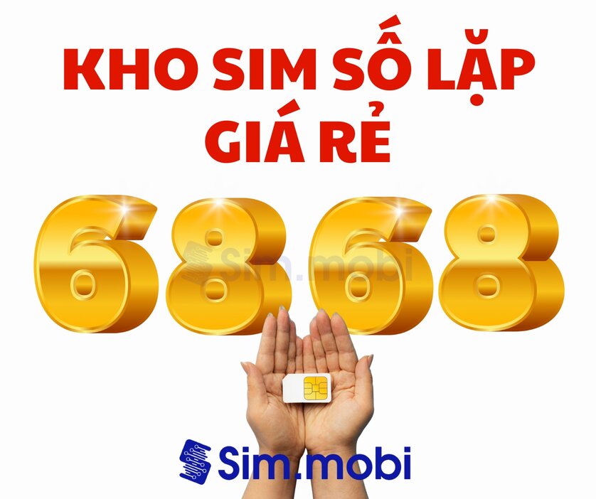 Sim Lặp 1 Kho Sim Lặp - VuaSim.vn
