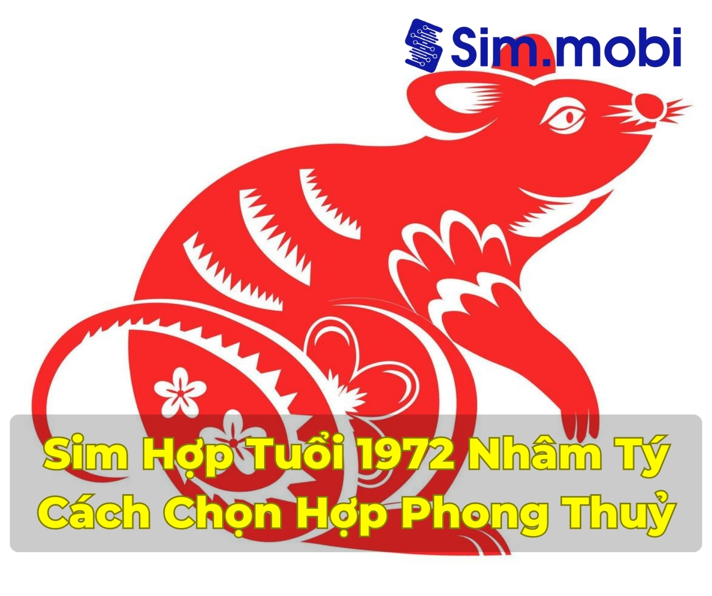 Sim Hợp Tuổi 1972: Hành Trang Phong Thủy Cho Tài Lộc Và Thành Công 1 Cách chọn sim hợp tuổi 1972 - Nhâm Tý