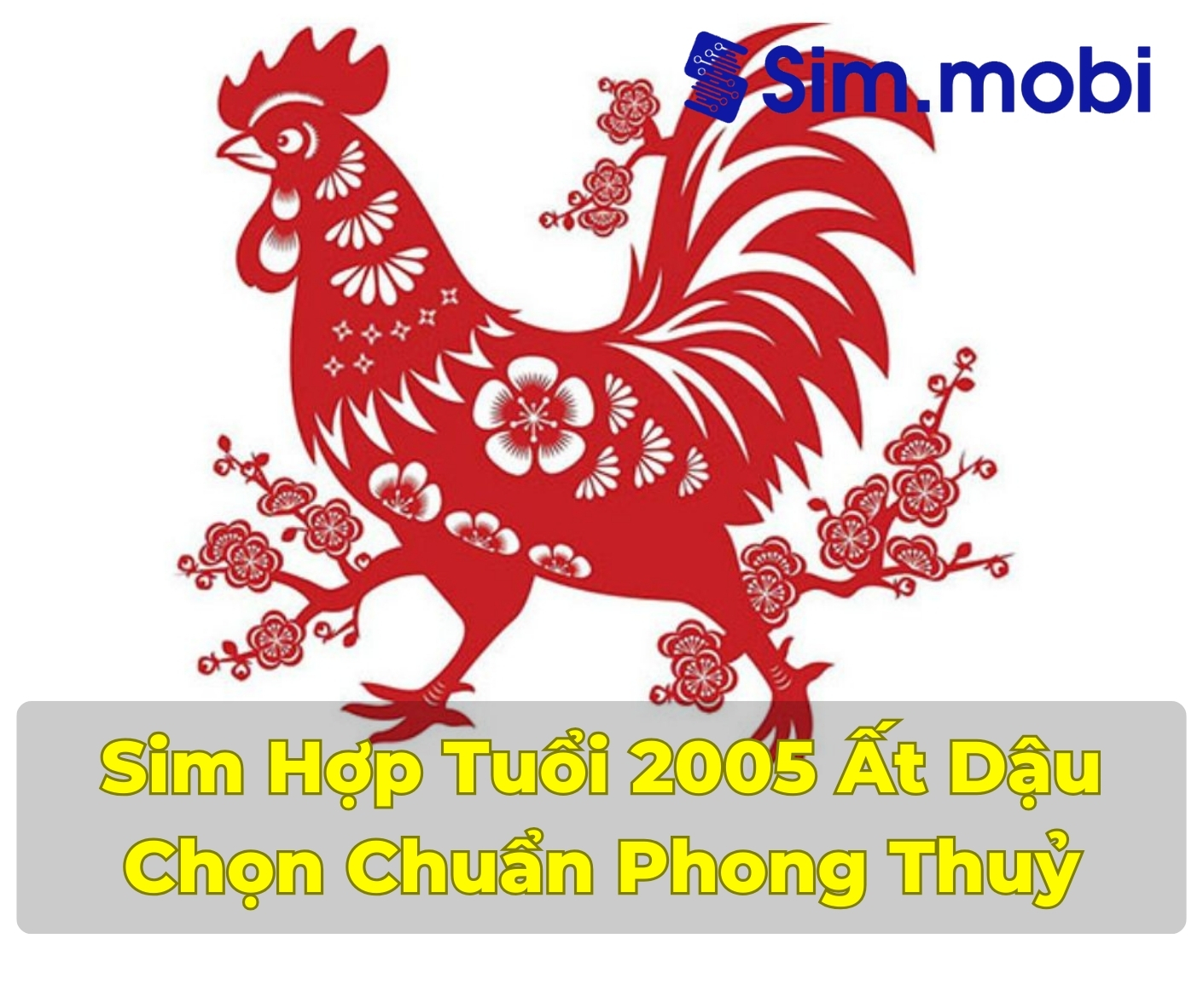 Sim Hợp Tuổi 2005: Bí Quyết Thu Hút Tài Lộc và Thành Công 1 Cách chọn sim hợp tuổi 2005 - Ất Dậu chuẩn phong thuỷ