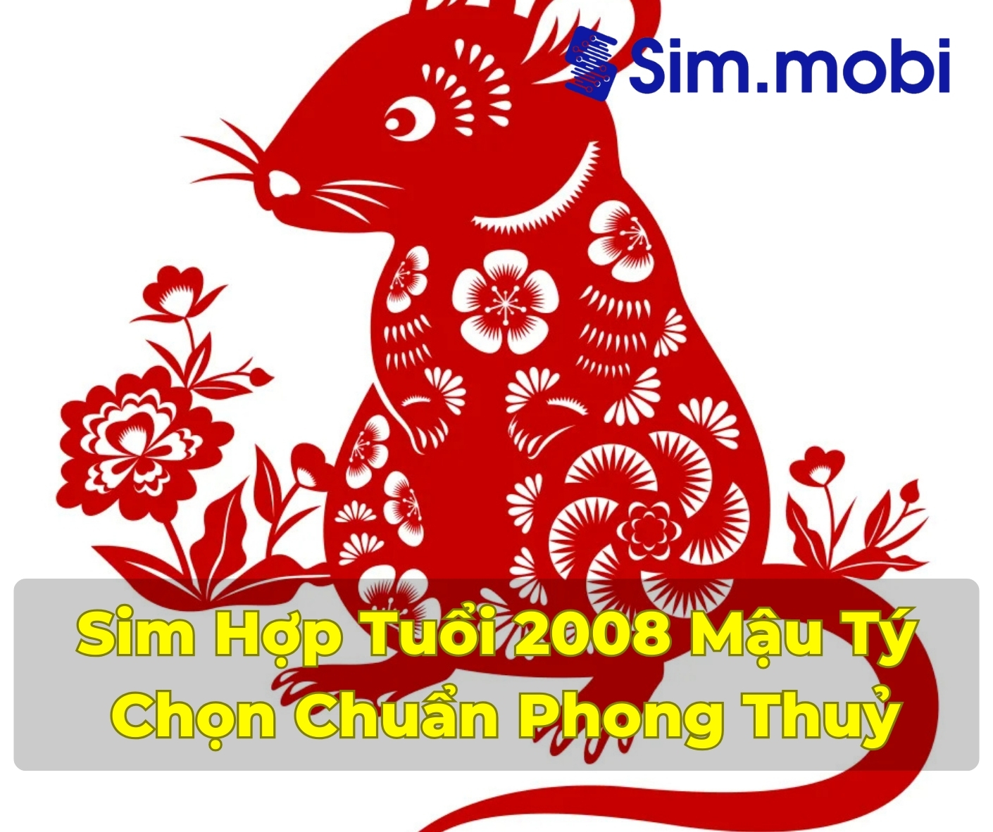 Sim Hợp Tuổi 2008: Bí Quyết Chọn Số Đẹp Mang May Mắn Cho Người Tuổi Tý 1 Cách chọn sim hợp tuổi 2008 - Mậu Tý chuẩn phong thuỷ