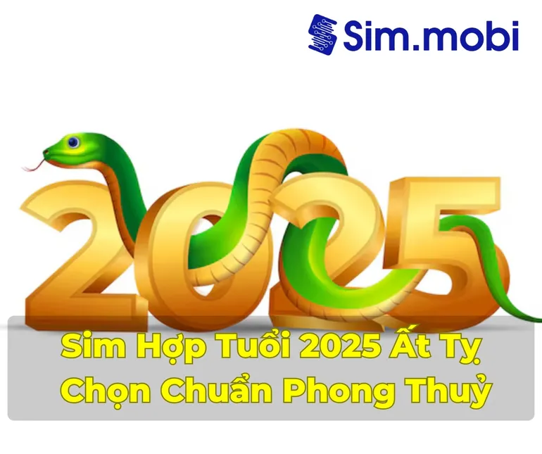 Sim Hợp Tuổi 2025: Bí Quyết Chọn Số Đẹp Mang Lại May Mắn và Thành Công 1 Cách chọn sim hợp tuổi 2025 - Ất Tỵ chuẩn phong thuỷ