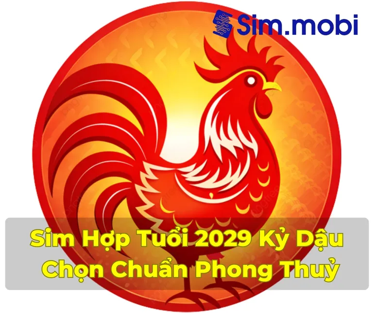 Sim Hợp Tuổi 2029: Bí Quyết Thu Hút Tài Lộc và Thành Công 1 Cách chọn sim hợp tuổi 2029 - Kỷ Dậu chuẩn phong thuỷ