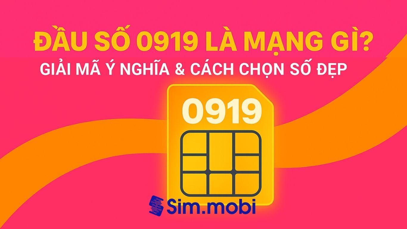 Đầu số 0919 là mạng gì? Ý Nghĩa & cách chọn sim số đẹp