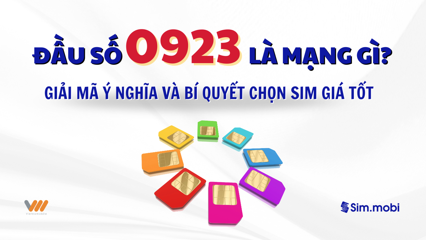 Đầu số 0923 là mạng gì? Giải mã ý nghĩa và bí quyết chọn sim 0923 giá tốt 1 Đầu số 0923 là mạng gì? Ý nghĩa & cách chọn sim đầu số 0923