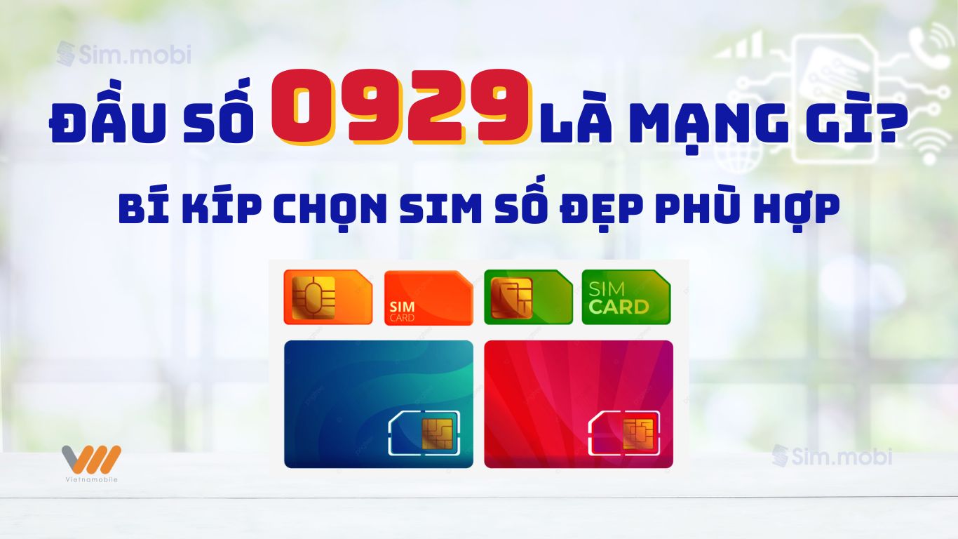 Đầu số 0929 là mạng gì? Giải mã ý nghĩa và bí quyết chọn sim số đẹp giá tốt 1 Đầu số 0929 là mạng gì? Bí kíp chọn sim số đẹp phù hợp