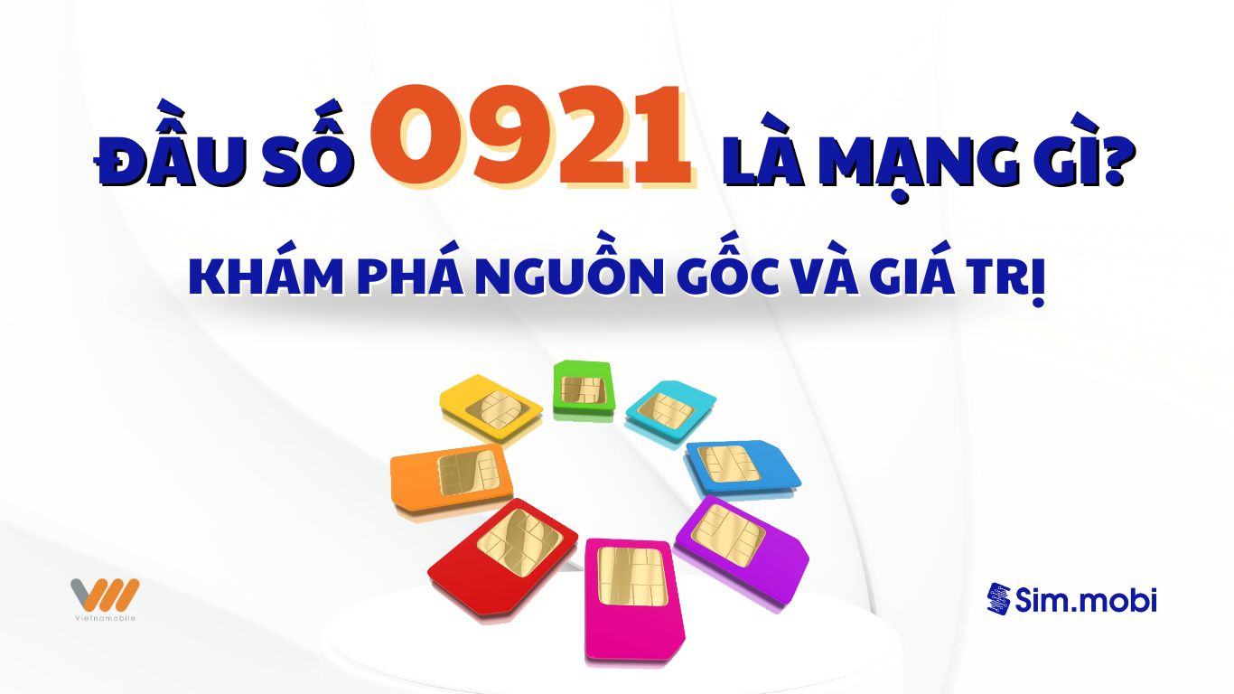Đầu số 0921 là mạng gì? Khám phá nguồn gốc và giá trị 1 Giải mã đầu số 0921