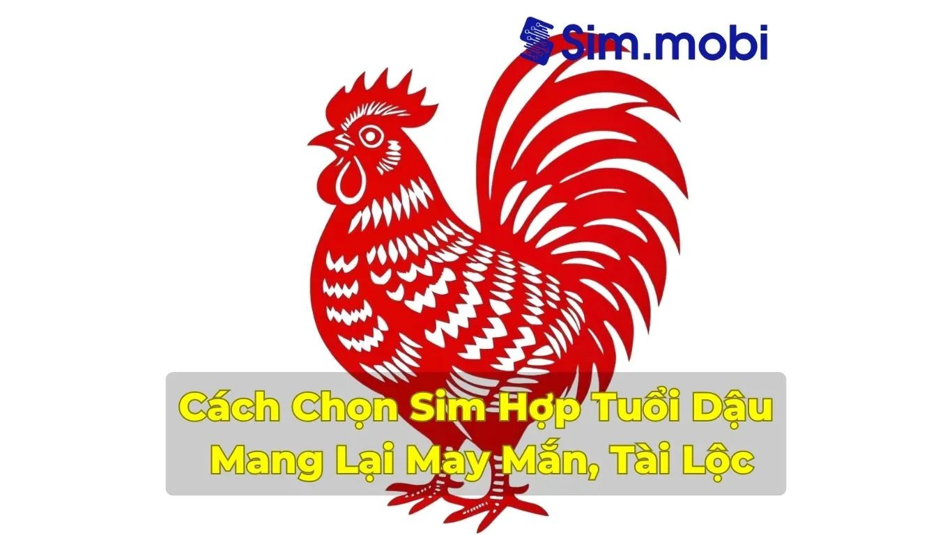 Bí Quyết Chọn Sim Hợp Tuổi Dậu Chuẩn Phong Thủy Từ Chuyên Gia VuaSim.vn 1 Cách chọn sim hợp tuổi dậu chuẩn phong thuỷ