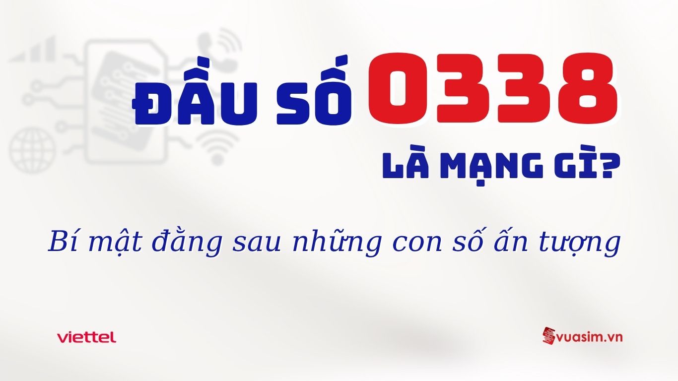 Đầu số 0338 là mạng gì? Khám phá bí mật đằng sau những con số ấn tượng 1 Đầu số 0338 Viettel - Ý nghĩa phong thuỷ & Cách chọn