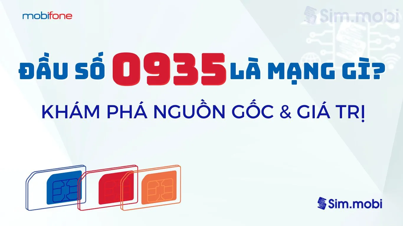 Đầu số 0935 là mạng gì? Khám phá nguồn gốc và giá trị 1 Đầu số 0935 là mạng gì?