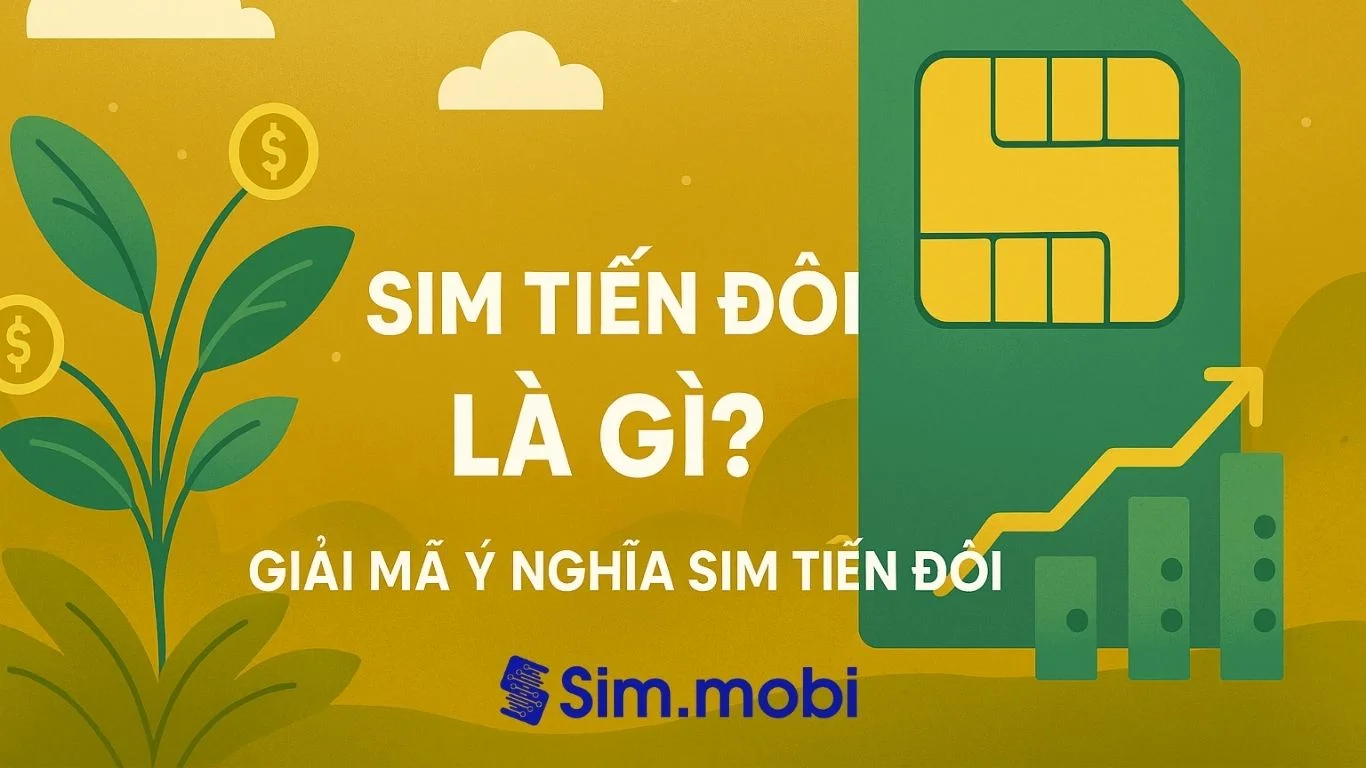 Sim Tiến Đôi Là Gì? Giải Mã Ý Nghĩa Vững Chắc, Nhân Đôi May Mắn 1 Sim tiến đôi là gì? Ý nghĩa ra sao?