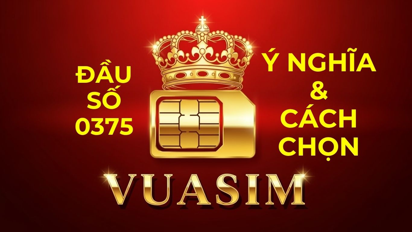 Đầu số 0375 là mạng gì? Luận giải ý nghĩa Tài Lộc và Phúc Đức 1 Đầu số 0375 Viettel - Ý nghĩa phong thuỷ & Cách chọn